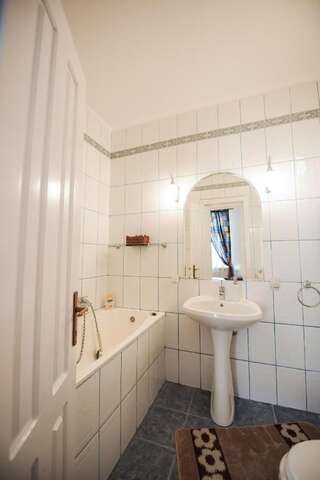 Гостевой дом Vila Lili Бэиле-Говора Одноместный номер с ванной комнатой-1